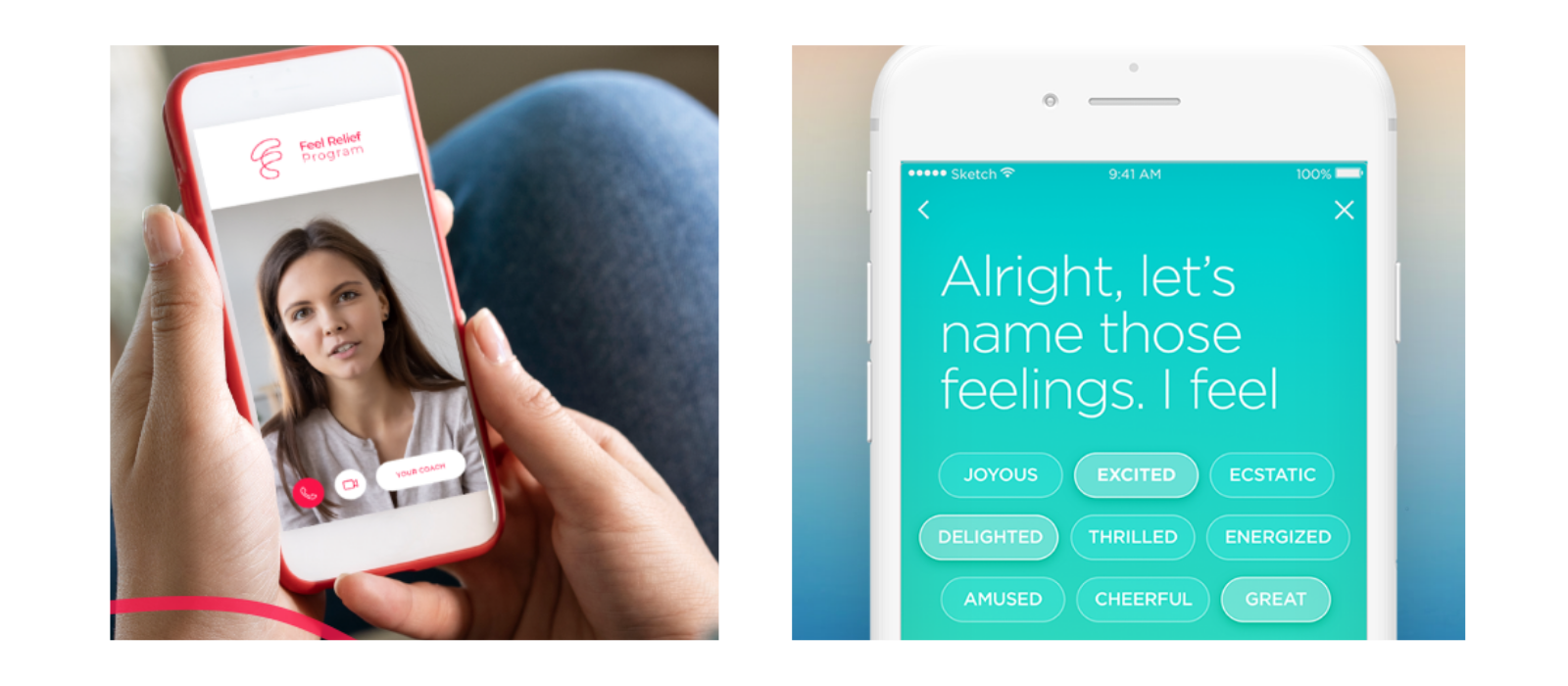 feel-relief-program-demo.png